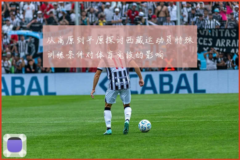 从高原到平原探讨西藏运动员特殊训练条件对体育竞技的影响
