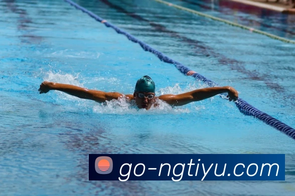 NG体育：引领数字化竞技内容传播与交互的新标准APP 封面图